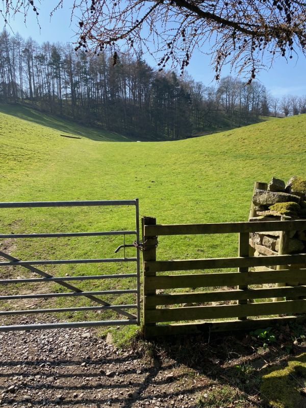 Weardale near Stanhope